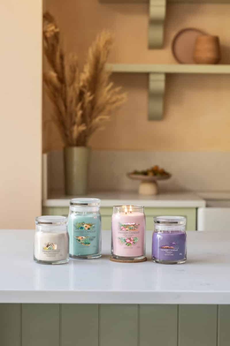 Alternative view of Aloe & Agave - Signature Large Jar