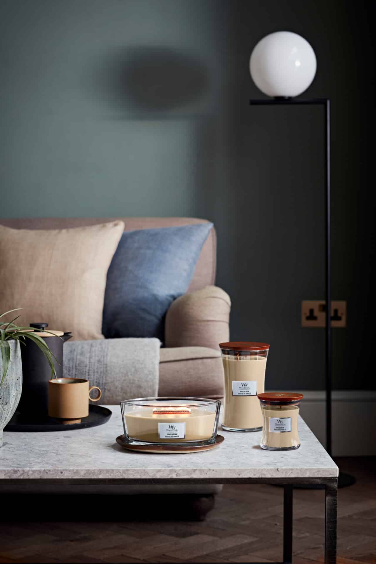 Vanilla Bean - Ellipse - Bild 6