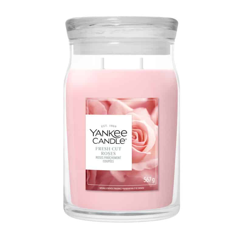 Fresh Cut Roses - Signature Large Jar